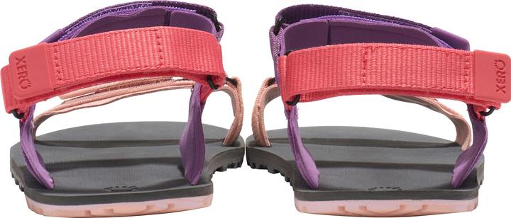 Actual product image Xero Shoes D-Trail (39.5)