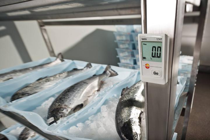 Produktbild Testo 174 T - Mini-Temperatur-Datenlogger (Thermometer)