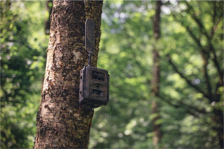 Produktbild Seissiger Wildkamera Special-Cam LTE