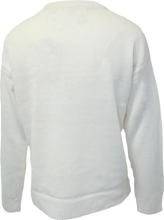 Actual product image Brave Soul Christmas design jumper (S)