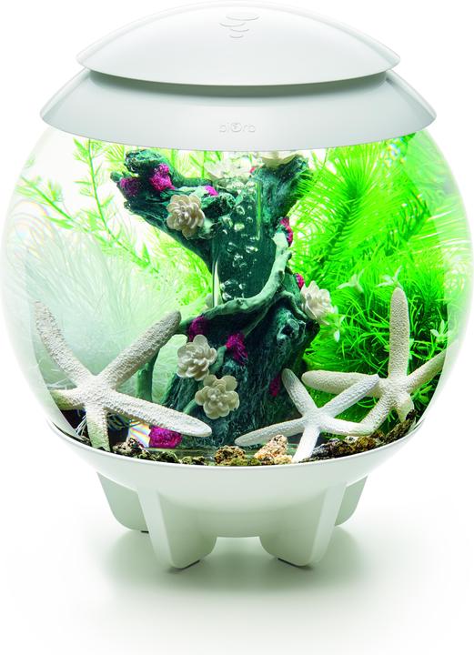 Actual product image Oase biOrb Aquarium 15 Decor Set (Embellishment, other items)