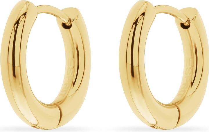 Esprit Bold Mini Earrings (Stainless steel)