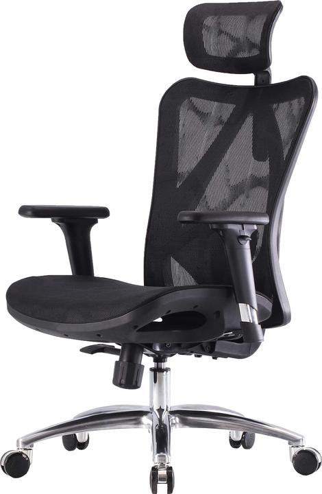 Sihoo Office chair with lumbar support
