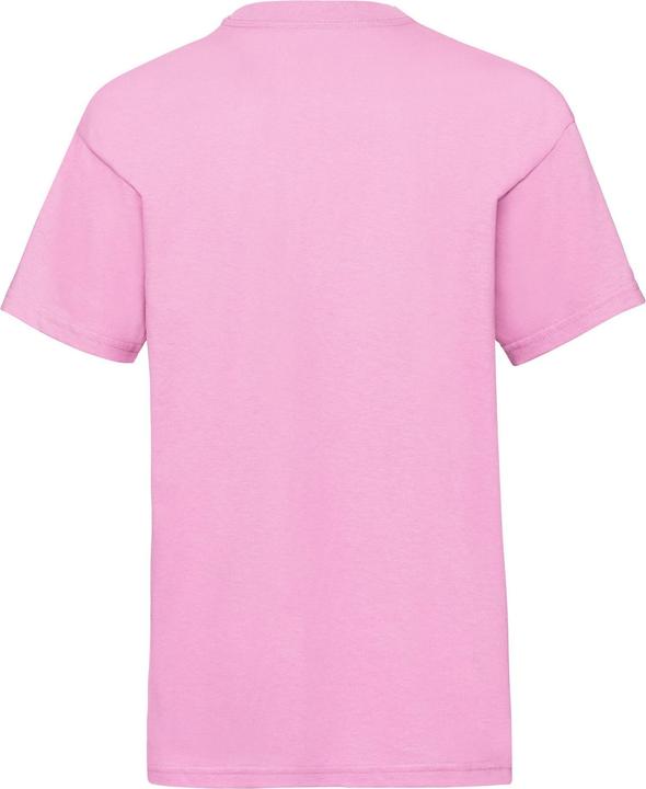 Actual product image Fruit of the Loom Childrens/Kids Value T-Shirt (152, 158)