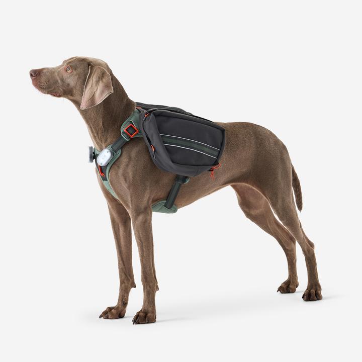 Immagine prodotto Caperlan Hundegeschirr Wandern (S, Cane)