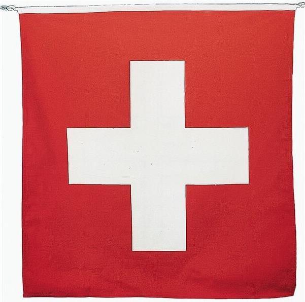 Actual product image Hauser Swiss flag