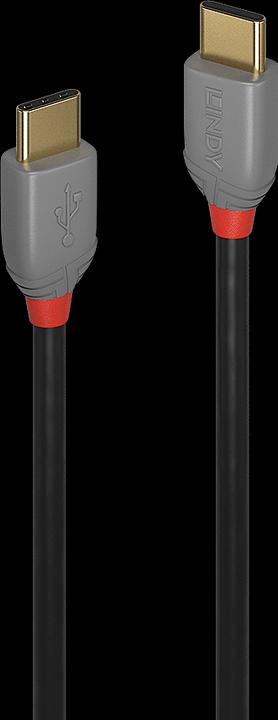 Actual product image Lindy Anthra Line (3 m, USB 2.0)