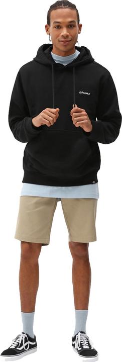 Produktbild Dickies Slim Fit Short REC (34)