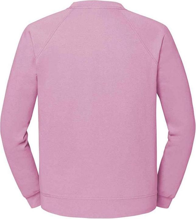 Image du produit Fruit of the Loom Unisexe Adulte Classic Raglan Sweatshirt (L)