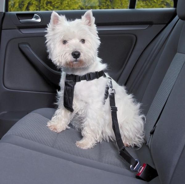 Immagine prodotto Trixie Imbracatura dell'auto (Cane, Riflettori)
