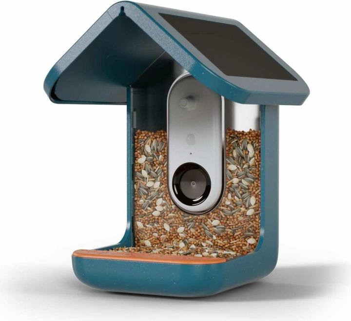 Bird Buddy Smart Bird Feeder 2.0