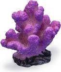 Actual product image Beeztees Coral (other items)