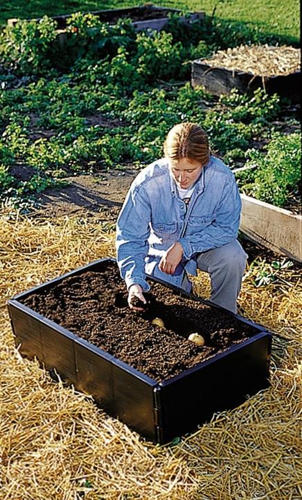 Actual product image Garland Mini Grow Bed