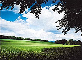 Produktbild Cokin Z121L Verlauffilter grau 2 (ND2) (100 mm, ND- / Graufilter)