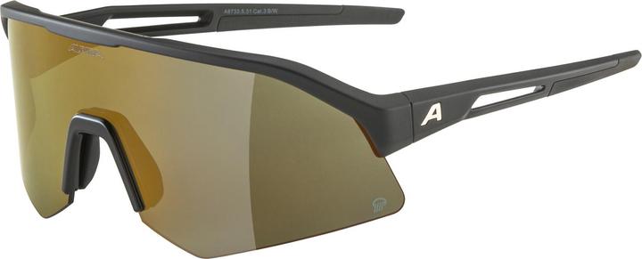 Immagine prodotto ALPINA SPORTS Sonic HR Q (Nero opaco, Oro)