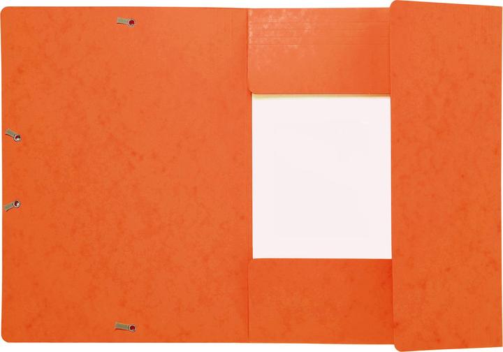 Actual product image Exacompta Folder (A4, 1 x)