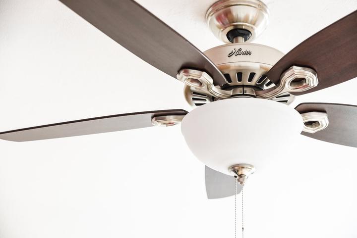 Actual product image Hunter Fans Builder Deluxe (46 dB)