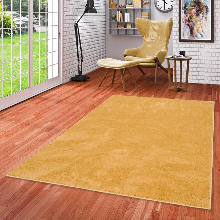 Produktbild Pergamon Luxus Super Soft Hochflor Langflor Teppich Melia (120 x 170 cm)