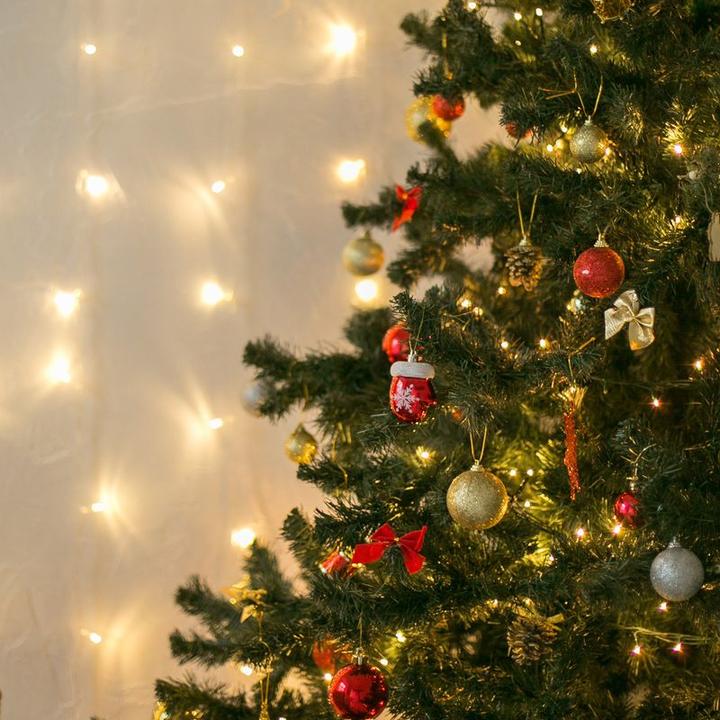 Produktbild Hermex Christbaum-Rock (1 -teilig)