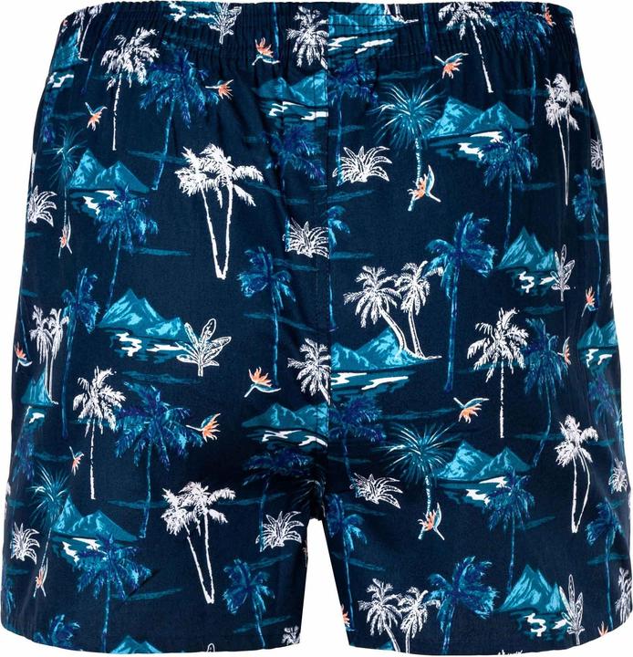 Produktbild Happy shorts Web-Boxershorts Casual Bequem sitzend (M)