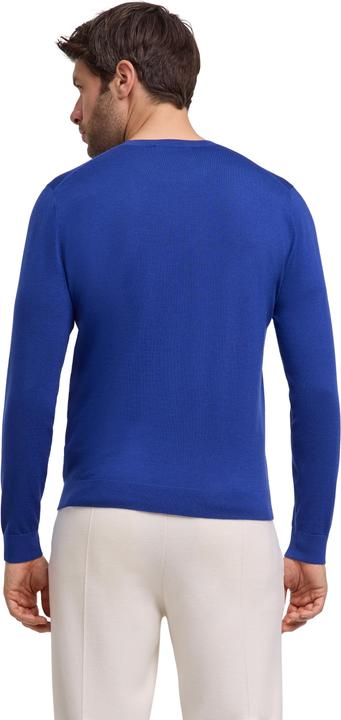 Produktbild Falke Herren (L)