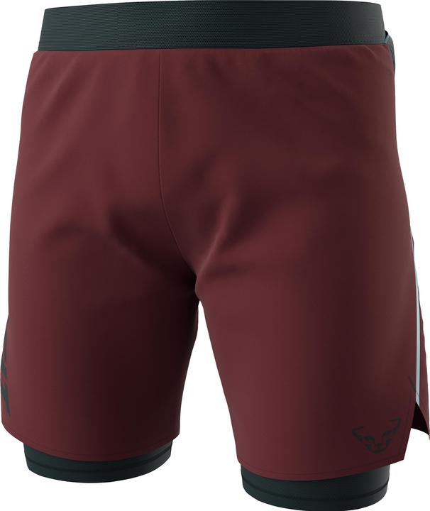 Dynafit ALPINE PRO 2/1 SHORTS, Herren