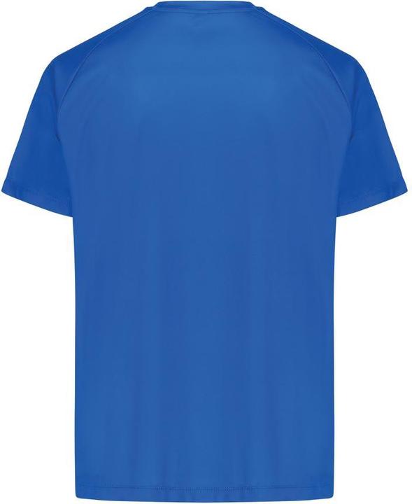 Actual product image Universal Textiles Unisex Adult Tikal Recycled Polyester Quick Dry Sport T-Shirt (L)