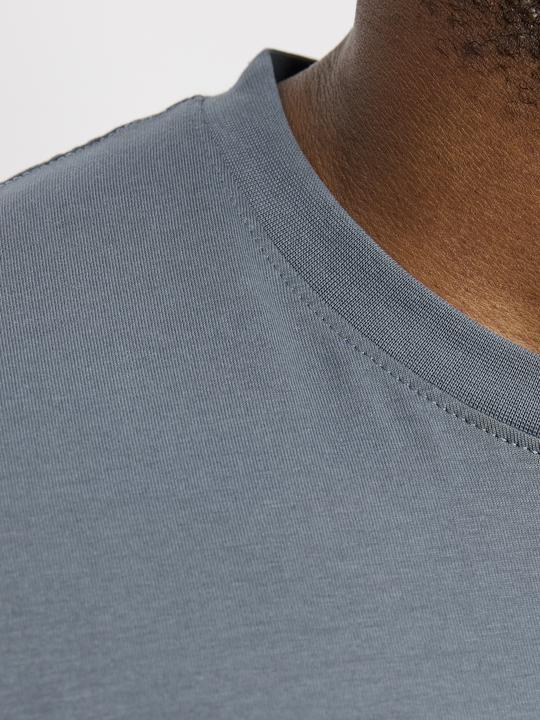 Produktbild Jack & Jones Jorvesterbro Tee Ss Crew Neck Noos Pls (6XL)