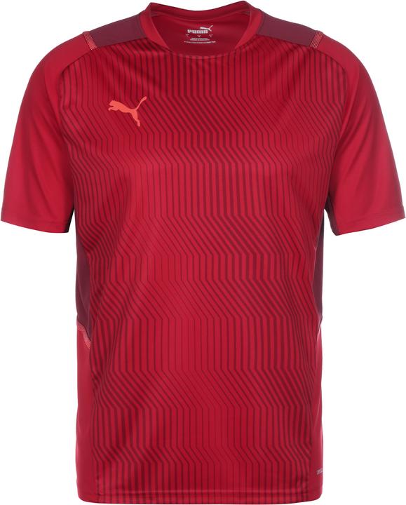 Puma TeamCUP Trainingsshirt Herren