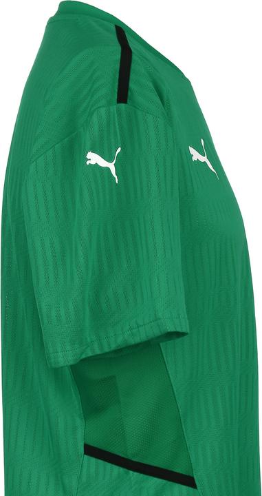 Produktbild Puma TeamCUP Fussballtrikot Herren (XXL)