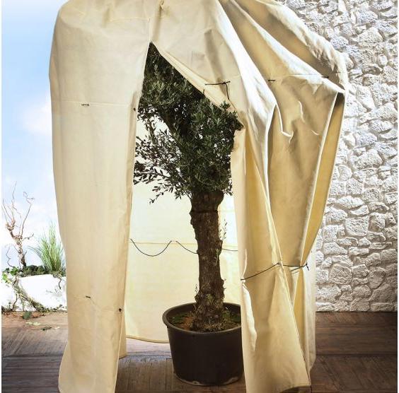 Actual product image Bio Green Mammoth