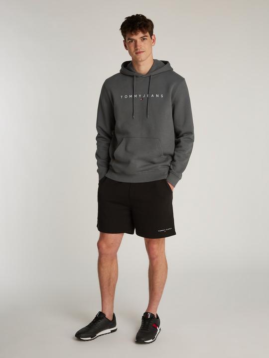 Produktbild Tommy Jeans Tjm Reg Linear Logo Hoodie Ext (S)