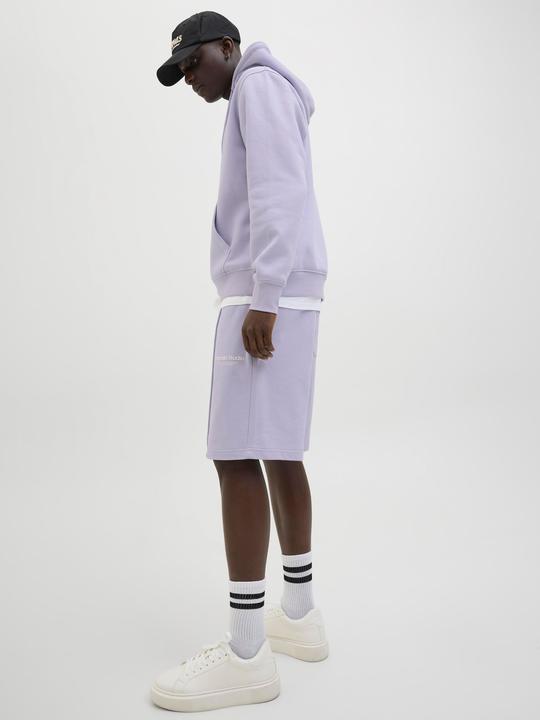 Image du produit Jack & Jones Jpstkane Vesterbro Sweat Shorts Lng Sn (XS)