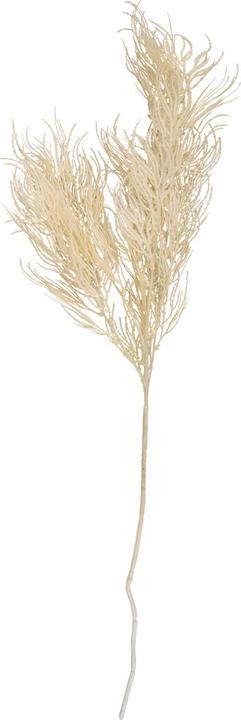 Produktbild present time Asparagus Fern Stem (86.40 cm)