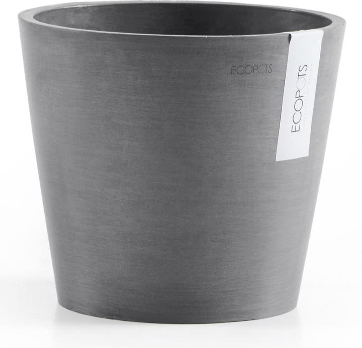 Grigio