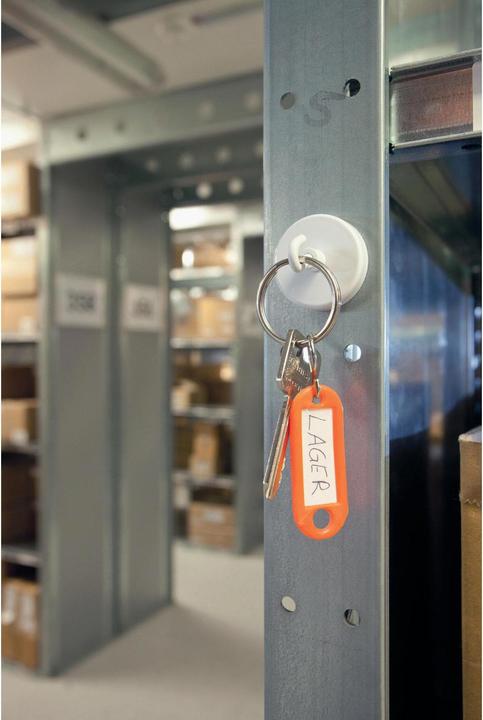 Actual product image Magnetoplan Hook magnet (1 x)
