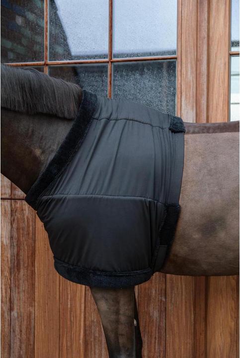 Produktbild Kentucky Horsewear Brustschutz
