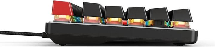 Actual product image Glorious PC Gaming Race GMMK-BRN-V2 full size, ANSI US standards, Gateron Brown Switch (US, Cable)