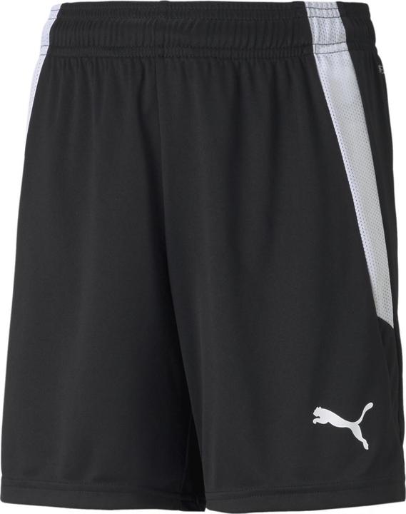 Image du produit Puma short teamLIGA Jr-704931 (164)
