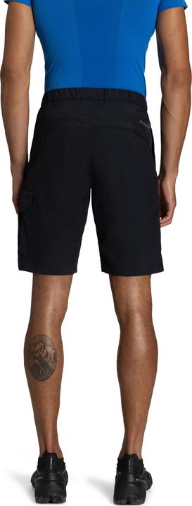 Actual product image Mammut Hiking Cargo Shorts Men (54)