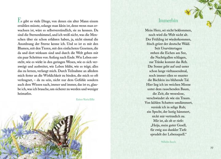 Produktbild Sonnenschein, Freiheit und eine kleine Blume braucht man (Deutsch, Kristina Schaefer, Marjolein Bastin, 2024)