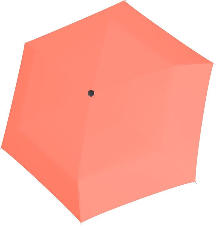 Neon Corail