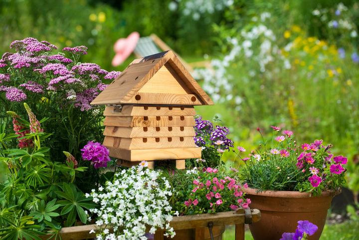 Immagine prodotto Wildlife World Hotel per insetti Hotel per api solitarie, specie animale: insetti (Api)