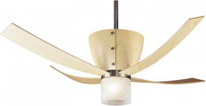 Actual product image Hunter Fans Valhalla
