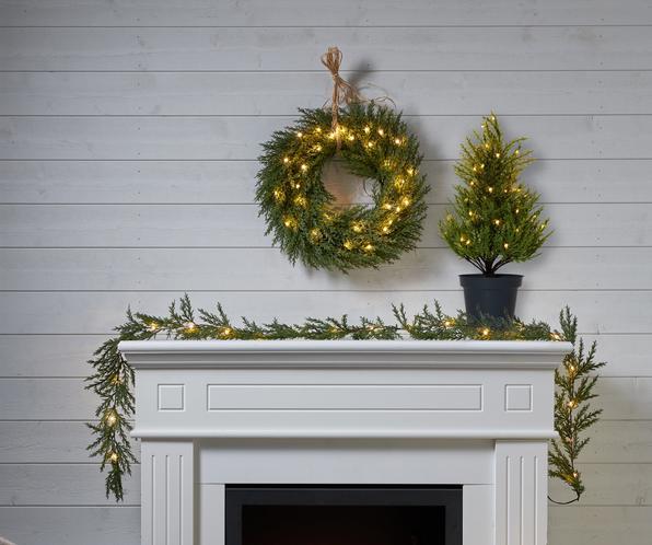 Produktbild Star Trading Thuja