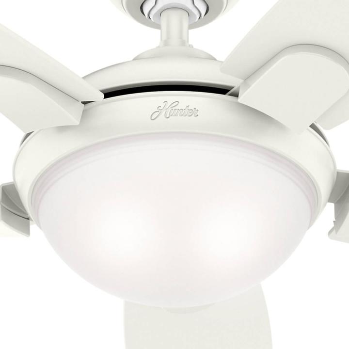 Produktbild Hunter Fans Contempo (46 dB)