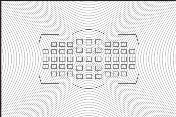 Actual product image Nikon Viewfinder disc D3 type B
