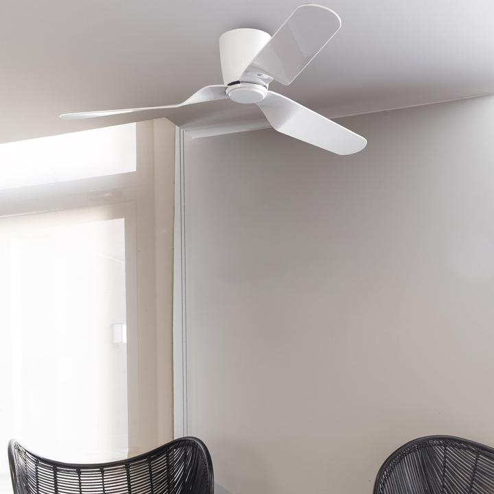 Actual product image Faro Pemba