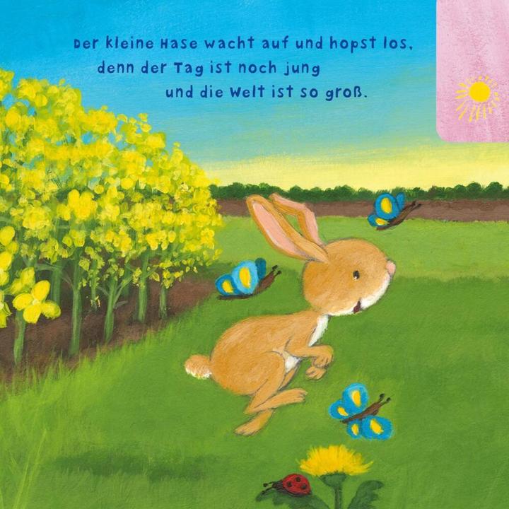 Produktbild Baby Pixi (unkaputtbar) 97: Der kleine Hase (Deutsch)