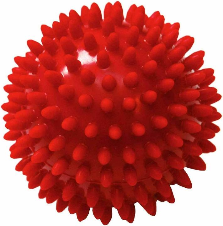 Sissel Spiky Ball